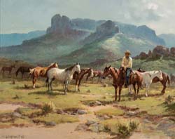 Ponies in Pasture