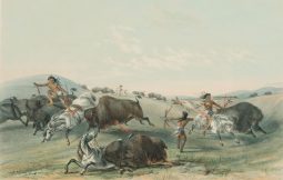 Catching the Wild Horse & Buffalo Hunt, Chase