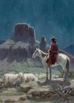 Navajo Shepherd