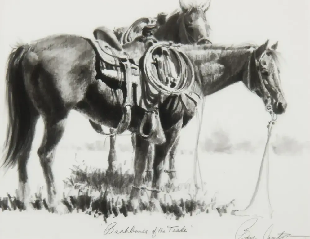 Two saddled horses standing in a grassy field with a lariat hanging from one horse's neck, a western ranch scene.