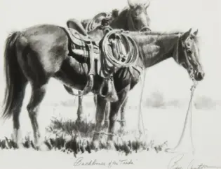 Two saddled horses standing in a grassy field with a lariat hanging from one horse's neck, a western ranch scene.