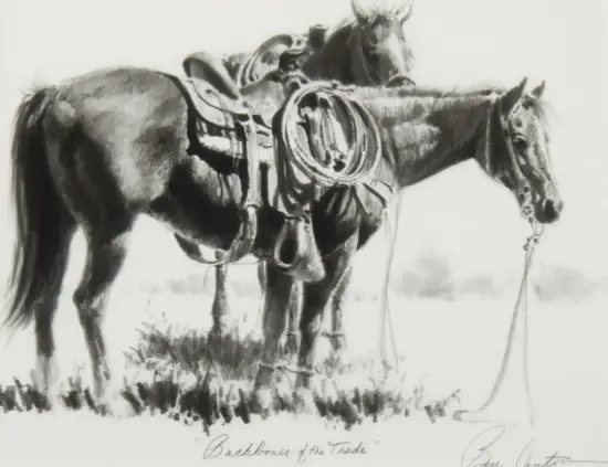 Two saddled horses standing in a grassy field with a lariat hanging from one horse's neck, a western ranch scene.