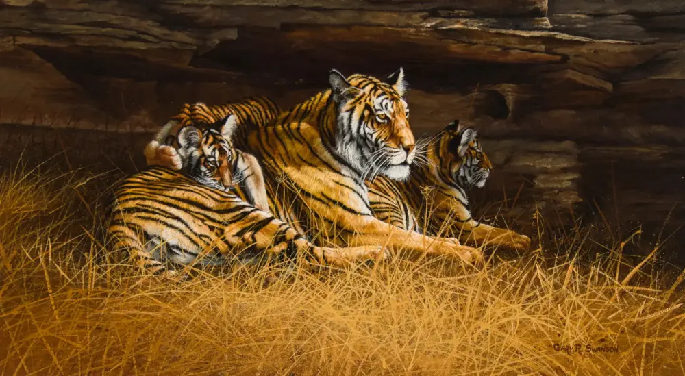 A mother tiger lying on the ground with two cubs snuggled against her in a rocky, cave-like den with tall dry grass nearby.