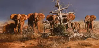 Herd of African elephants gathered around a gnarled, leafless tree in a dry savannah under a cloudy sky.