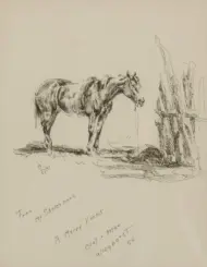 Pencil sketch of a horse standing near a wooden fence, with rough ground shading and handwritten notes on the page nearby (From my sketch book, A Merry Xmas).