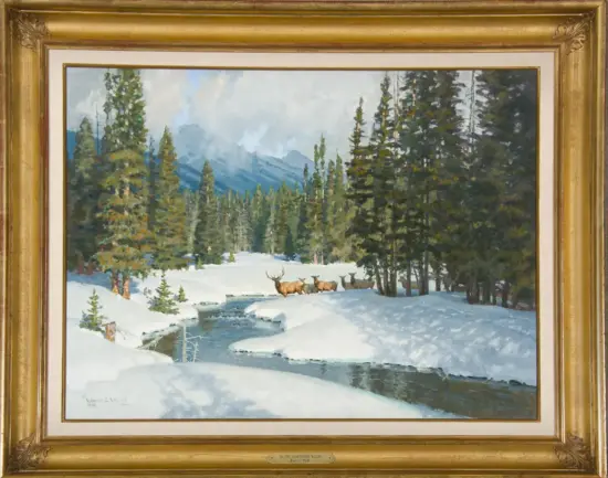 Winter forest scene in snow with a meandering stream and a group of deer among evergreen trees.