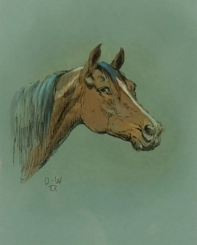 Profile view of a brown horse head with a blue mane on a muted green background, sketch-style illustration.
