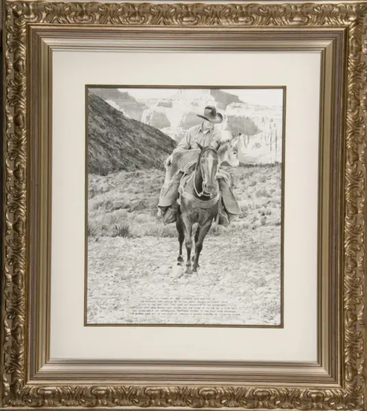 Black-and-white illustration of a cowboy riding a horse through a canyon, with a donkey in the background.