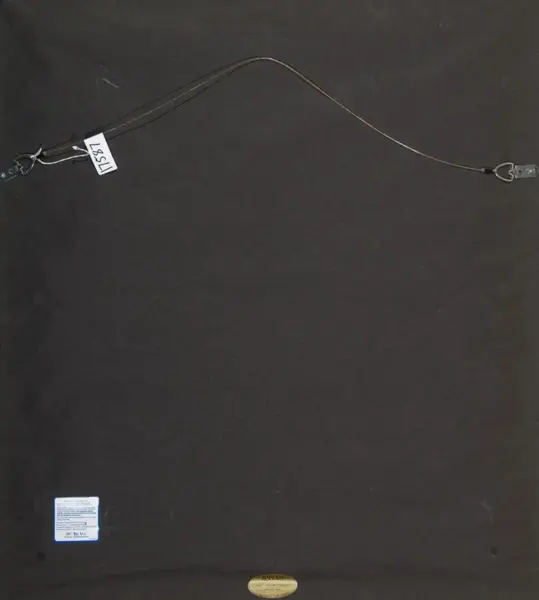 A two-wire cable harness with metal ring and connectors on both ends, laid out on a dark surface; one end has a small white tag labeled 'L984'