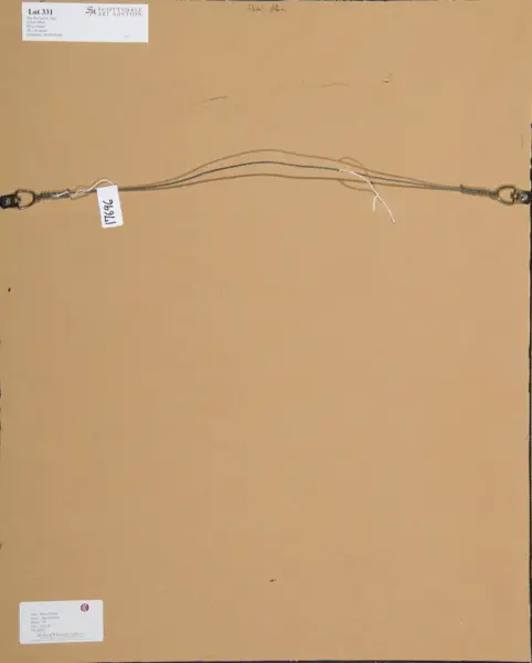 Back of a framed artwork’s backside with a metal hanging wire stretched across; D-rings at each end, and auction/gallery labels attached to the frame.