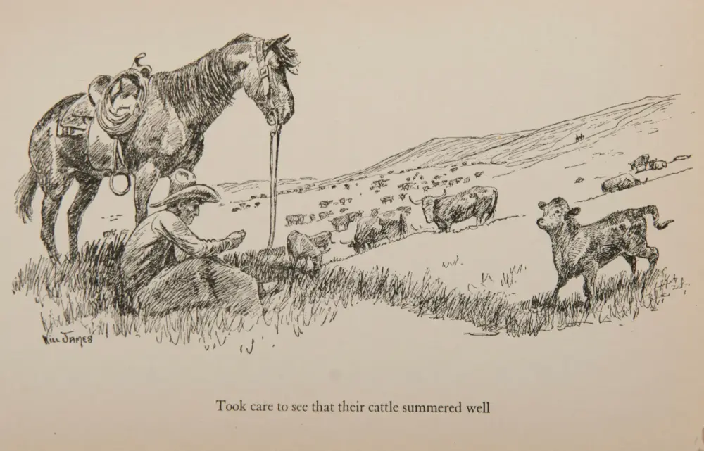 Ink sketch of a cowboy kneeling beside a saddled horse, rope in hand, as a herd of cattle grazes on rolling hills. Caption below reads: “Took care to see that their cattle summered well.”