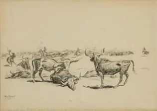 Vintage ink sketch of bulls running across a dusty plain with a few men in hats at the left foreground.