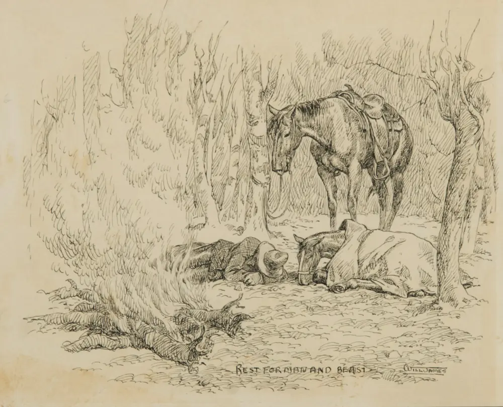 Pen sketch of a saddled horse standing in a rocky, wooded area.