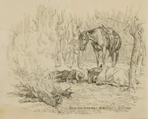 Pen sketch of a saddled horse standing in a rocky, wooded area.