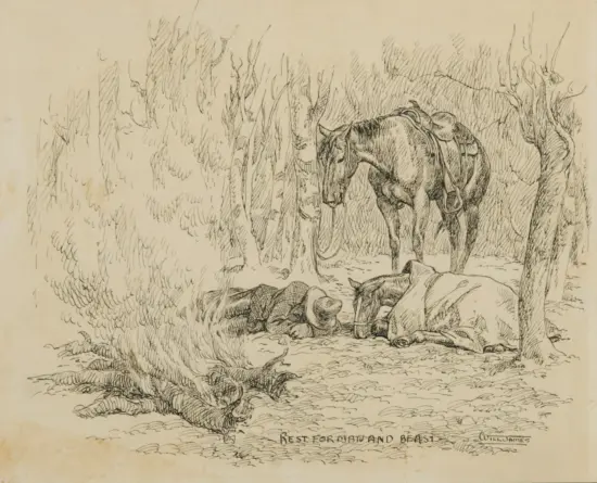 Pen sketch of a saddled horse standing in a rocky, wooded area.