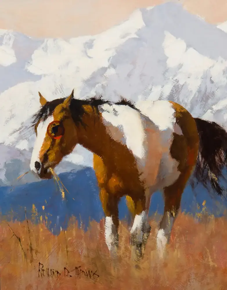 Painted pony with brown and white coat standing in a snowy mountain landscape, warm tones in foreground.