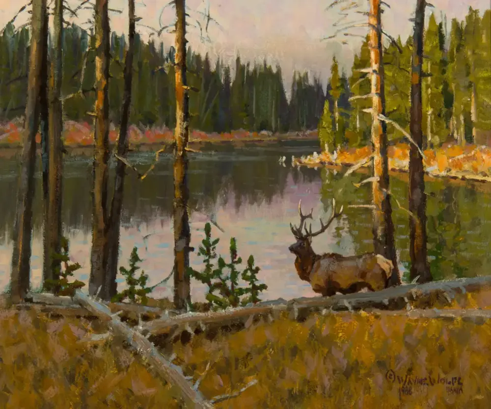Deer with antlers standing by a calm lake among evergreen trees in a forest painting.