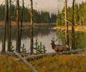 Deer with antlers standing by a calm lake among evergreen trees in a forest painting.