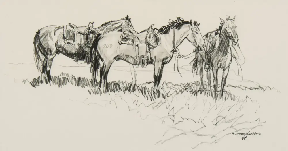 Sketch of several saddled horses standing in a grassy field; charcoal study with bold lines and shading.