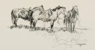 Sketch of several saddled horses standing in a grassy field; charcoal study with bold lines and shading.