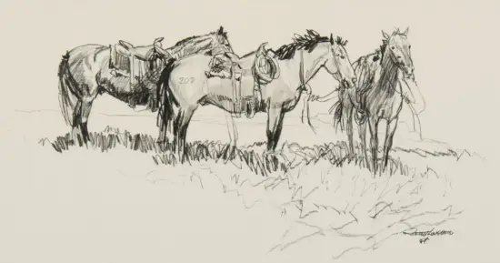 Sketch of several saddled horses standing in a grassy field; charcoal study with bold lines and shading.