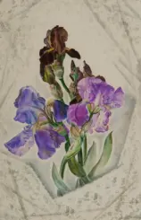 Purple irises with a few brown dried blooms arranged on a pale lace tablecloth background