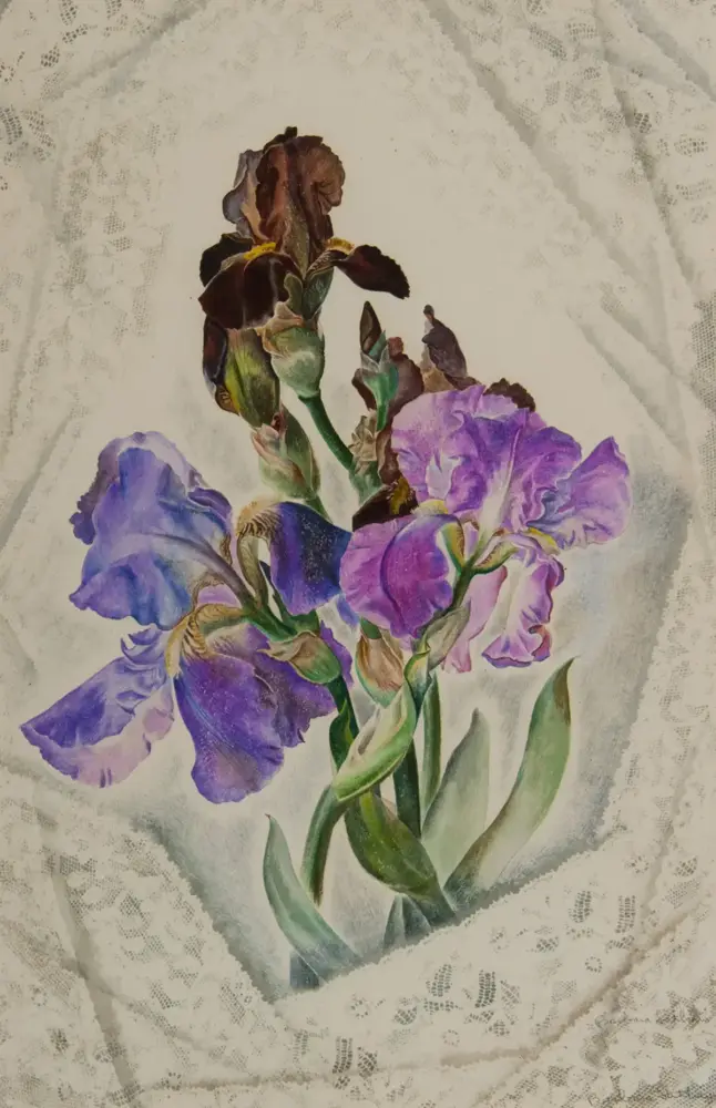 Purple irises with a few brown dried blooms arranged on a pale lace tablecloth background