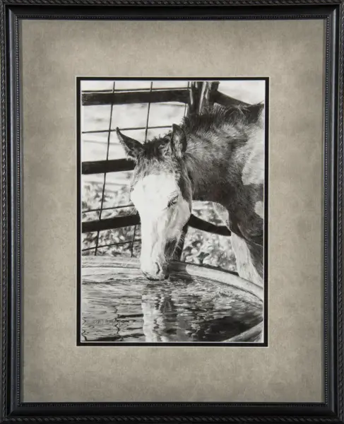Framed black-and-white image of a donkey drinking from a trough outdoors, seen in a gallery-style mat.
