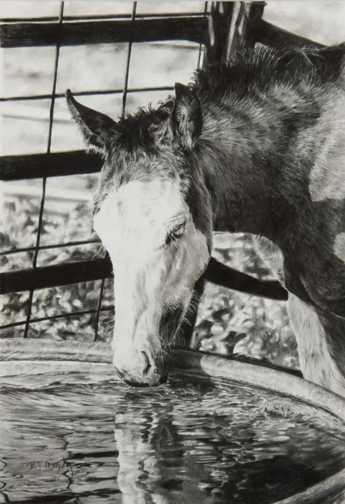 Donkey leaning over a wooden water trough, its white face near the water and ripples reflecting in the bowl, with a wire fence in the background.