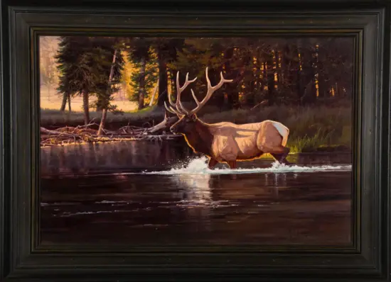 Framed painting of a moose with large antlers wading across a river at sunset in a forest.