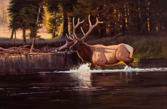 A majestic elk with large antlers crosses a calm river at sunset, trees glowing in warm light behind it, water splashing at its feet.