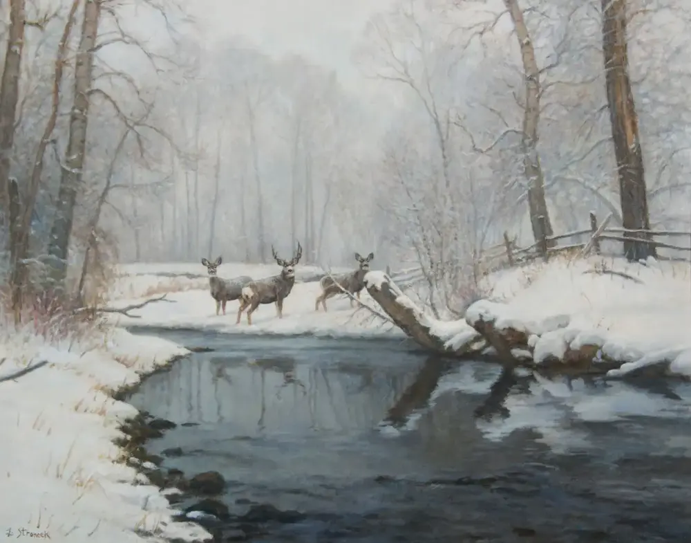 Three deer stand in a snowy forest beside a dark, partially frozen stream with bare trees overhead.