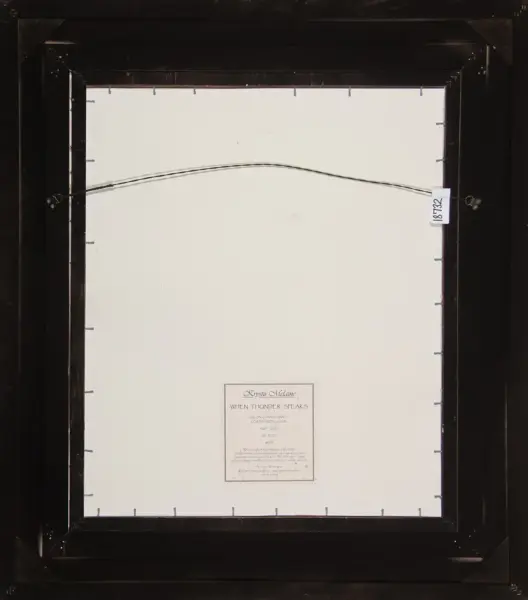 Back of a black wooden frame with a white canvas, hanging wire across the middle and a small certificate label near the bottom center on the back.