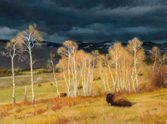 Bison grazing in a sunlit meadow lined with white birch trees, under a dark, stormy sky.