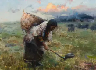 Woman bending in a grassy field, carrying a large woven basket on her back and using a long stick or tool to harvest crops.