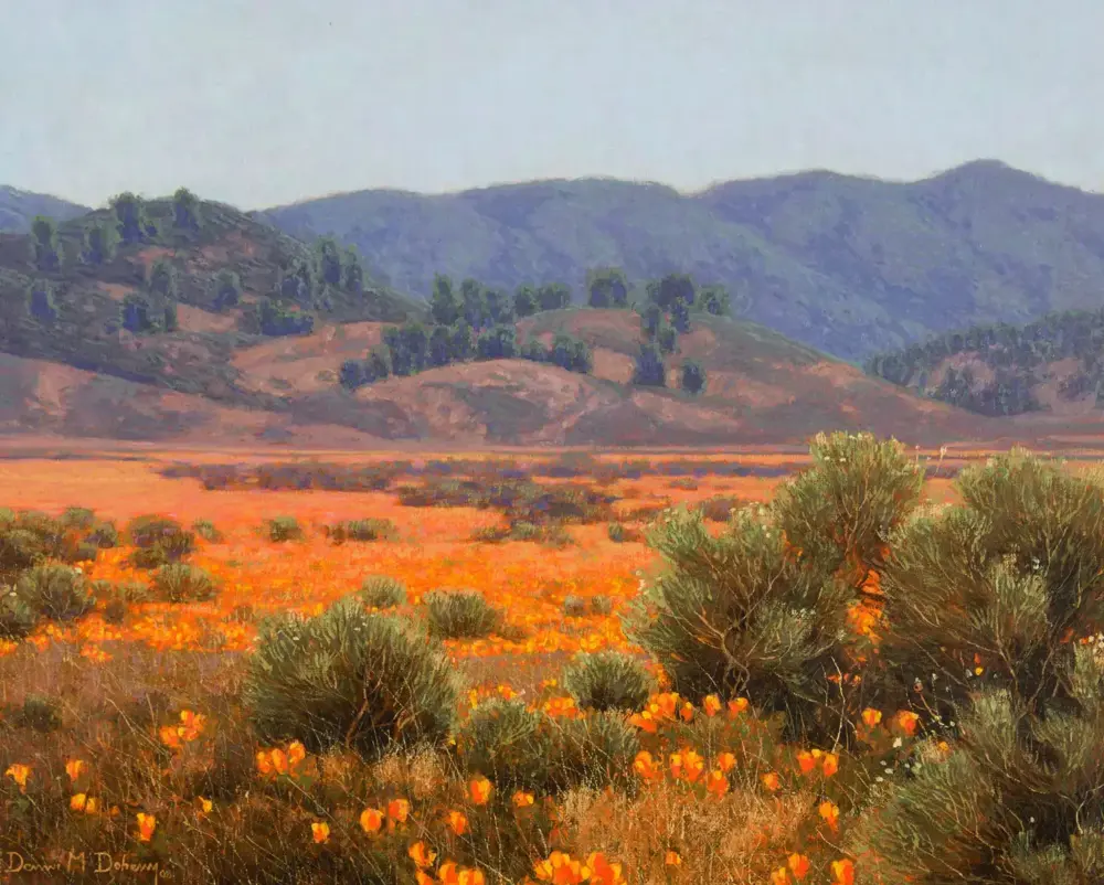 Desert valley with bright orange wildflowers in the foreground, low shrubs, and distant blue mountains.