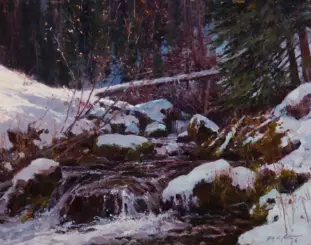 Snowy forest scene with a small stream, rocks, and a fallen log across the stream.