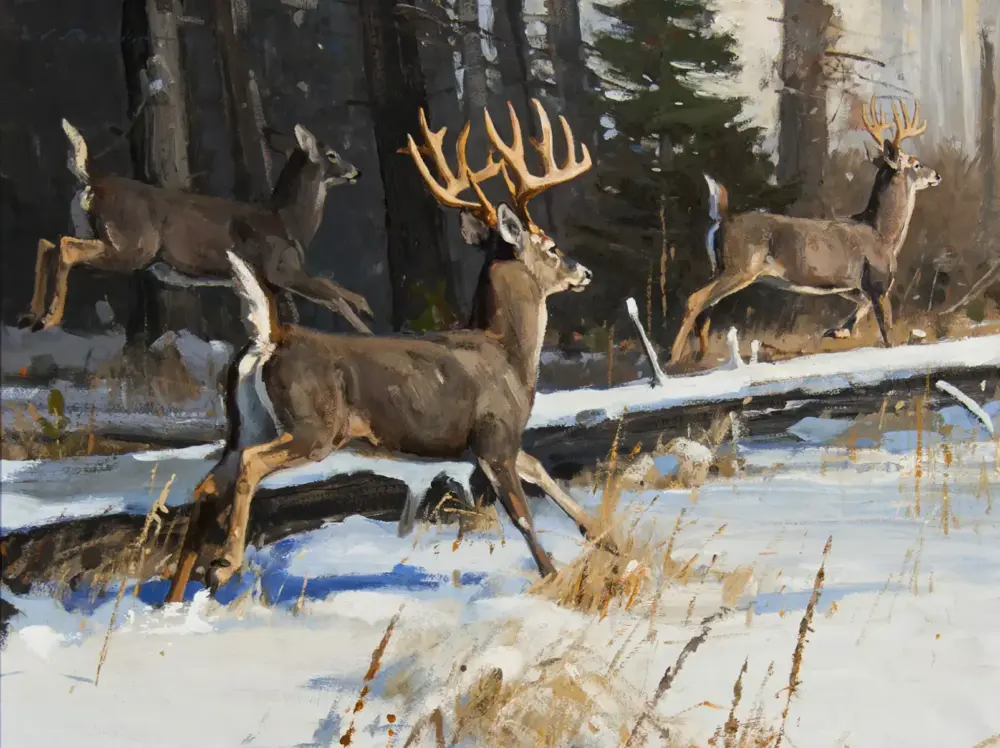 Three deer in a snowy forest scene, with one deer in the foreground and two with large antlers nearby.