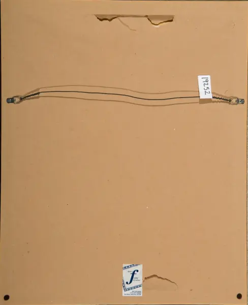 Back of a framed piece showing two braided wires with metal hooks at each end and a small label reading 19252 on the right; cardboard backing with a torn top edge.