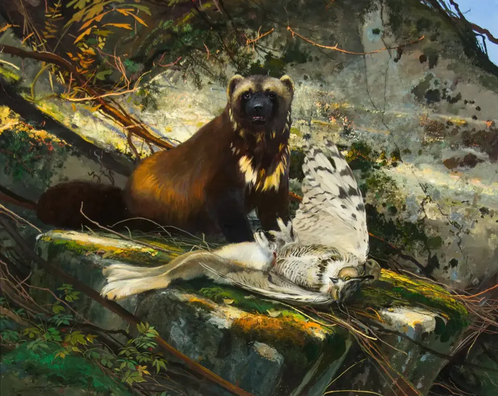 Painting of a brown bear seated on a rock beside a lifeless white bird with black markings in a forest scene.