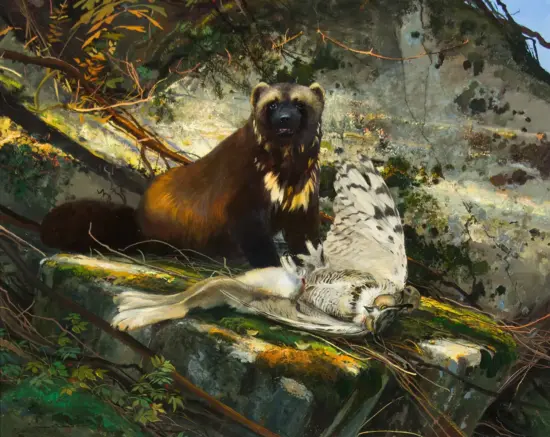 Painting of a brown bear seated on a rock beside a lifeless white bird with black markings in a forest scene.