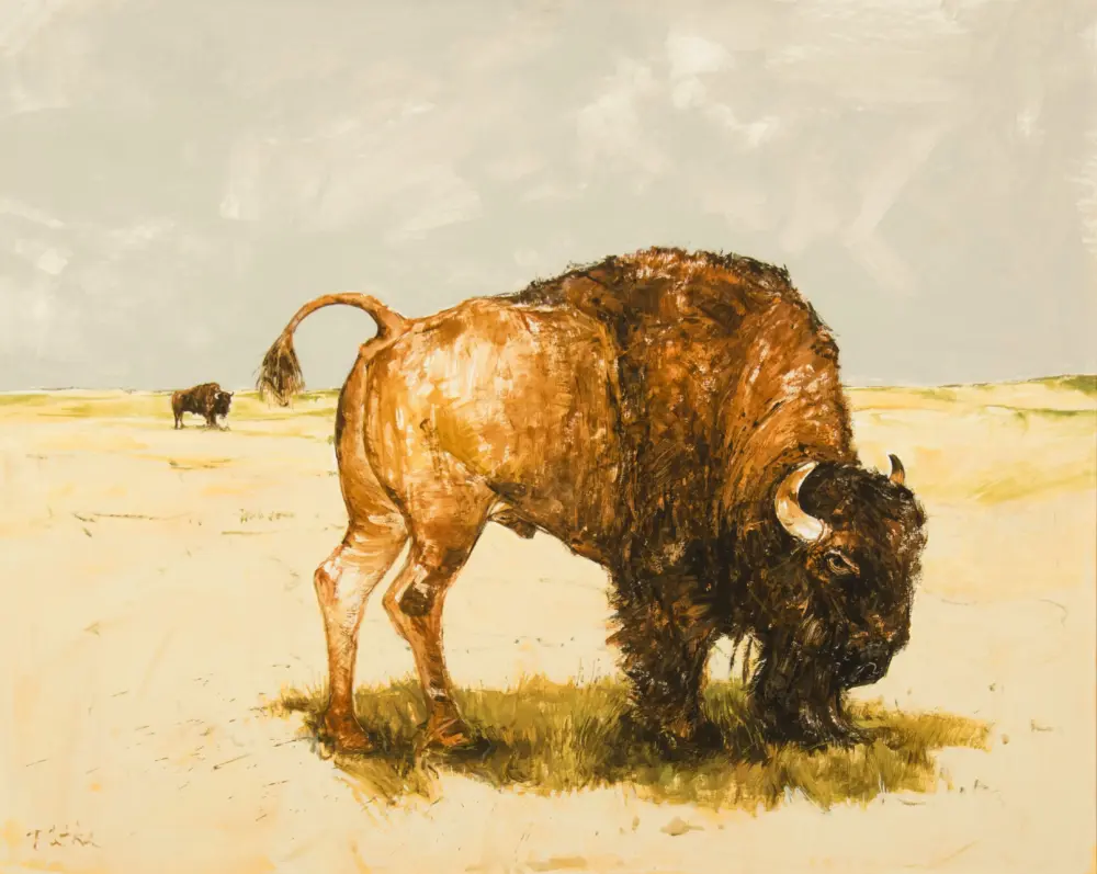 Large brown bison in a grassy plain, with a smaller bison far in the background on a pale sky backdrop.