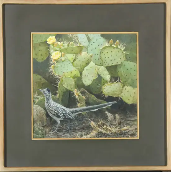 Framed painting of a long-tailed, black-and-white bird among yellow-blossomed prickly pear cactus.