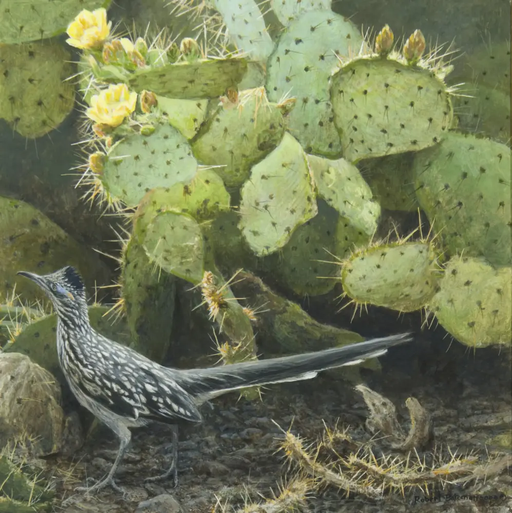 Desert scene with prickly pear cactus pads and yellow blossoms, plus a gray bird on rocky ground at the bottom left.