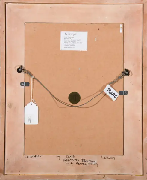 Back of a framed artwork with hanging wires and labels, white tag reading 'In the Light' on the inner panel and price tag attached on the right.