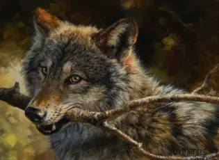 Close-up painting of a wolf resting its head on a branch, with amber eyes and mixed gray-brown fur.