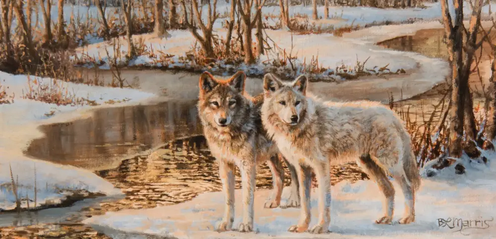 Painting of two wolves standing in a snowy winter scene by a partially frozen stream, trees in the background.