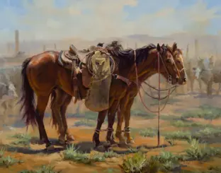 Two saddled horses tied together in a dry, desert landscape with distant fence posts and a vague figure in the background.