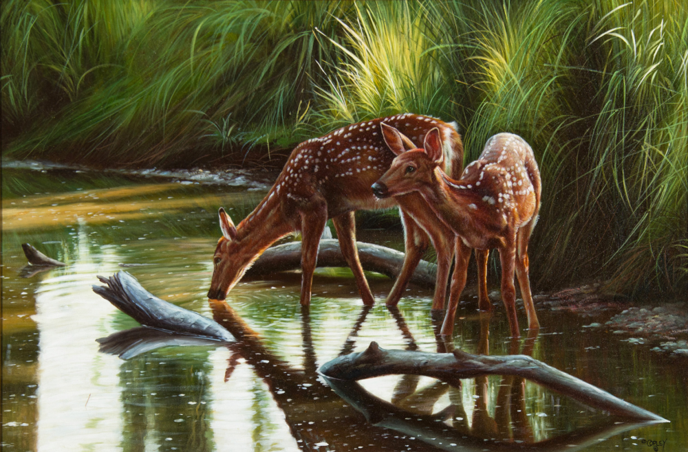 Two spotted fawns stand in a shallow, reflective stream surrounded by tall green grasses.