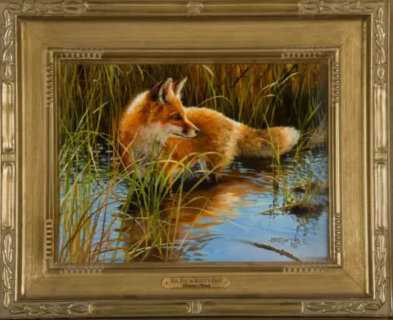 Framed painting of a red fox resting in a swampy pond with reeds surrounding it.